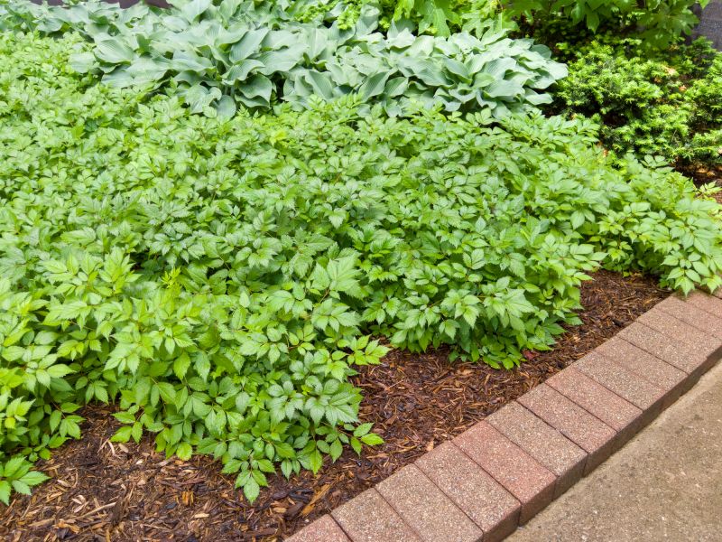 Brick Border Installation in Boston, MA
